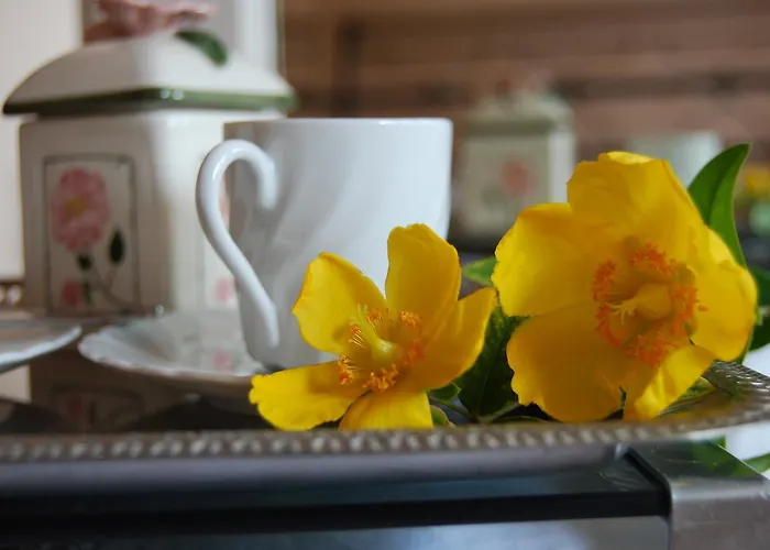 Couette-café Le Querce 3*